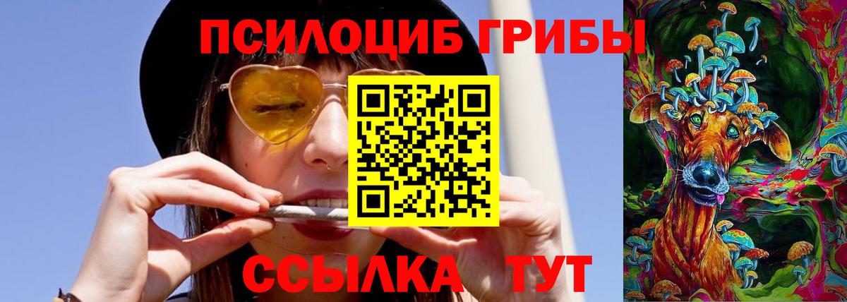 Менделеевск  Галлюциногенные грибы прущие грибы  Вход с VPN 